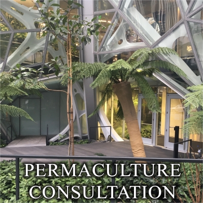 Picture of PERMACULTURE CONSULT