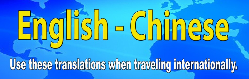Teknix Concepts Foreign Language Translations Banner Chinese