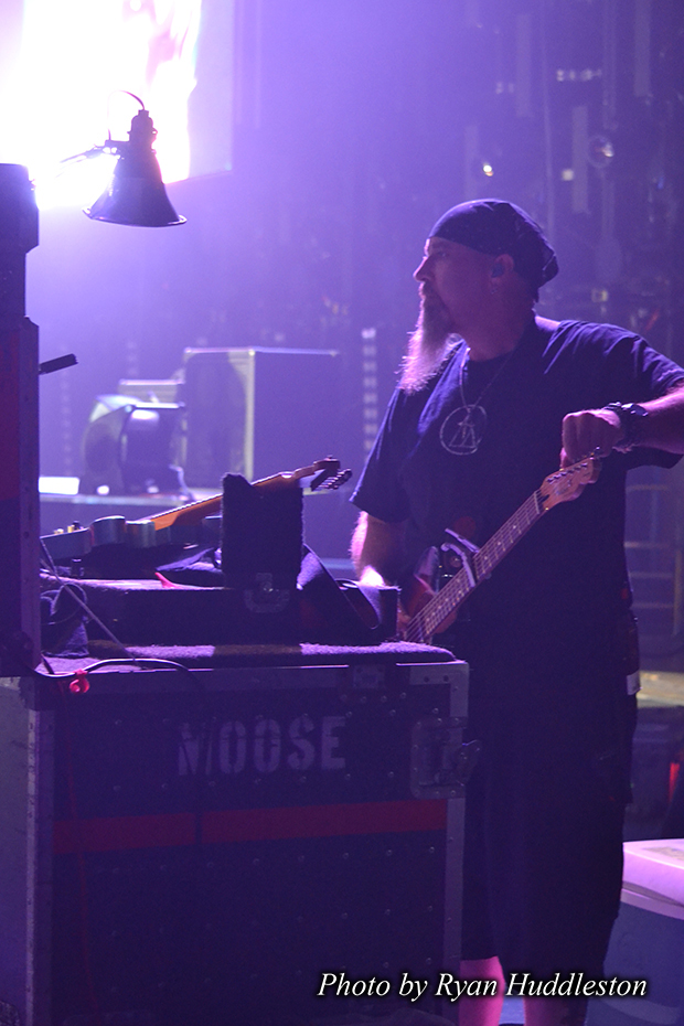 Moose Train Tour 2013